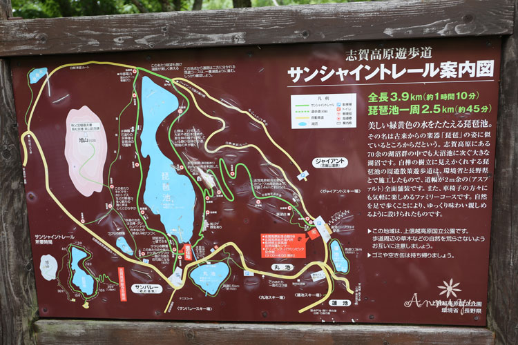 志賀高原遊歩道 琵琶池