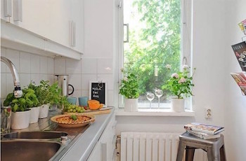 観葉植物をキッチンに置き明るい空間にした画像