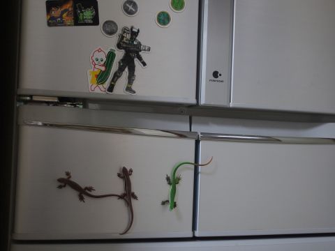 冷蔵庫に張り付くマグネット（トカゲシリーズ　カナヘビ／アオカナヘビ）