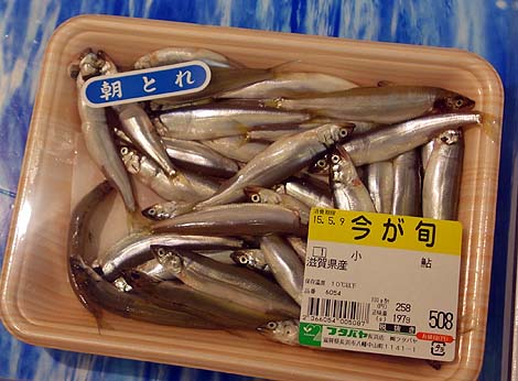 フタバヤ 長浜店（滋賀県）激安揚げ物バーゲンに釣られた・・・ご当地スーパーめぐり