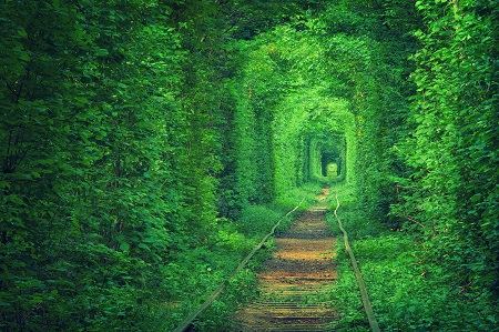 愛のトンネル2