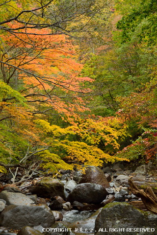 甲子山中の秋景 #5