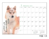 カレンダー2016-犬川柳-2