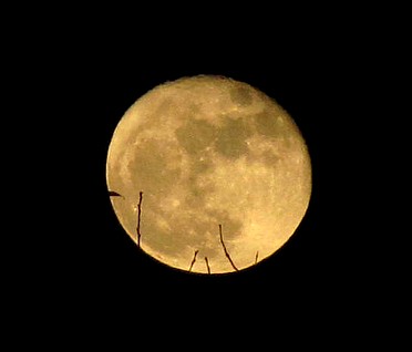 2015 11 27 moon01