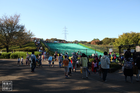 20151111_小金井公園5
