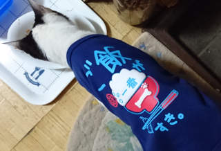 いいね