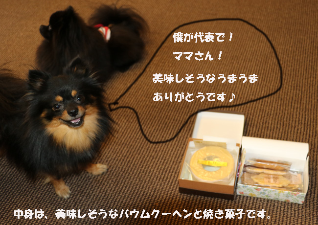 040-987654-98756-665.jpg