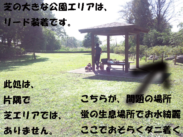 099-57900-8776654-7654.jpg