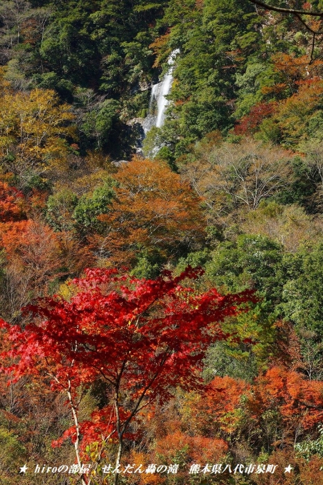 hiroの部屋　日本の滝百選　せんだん轟の滝　熊本県八代市泉町