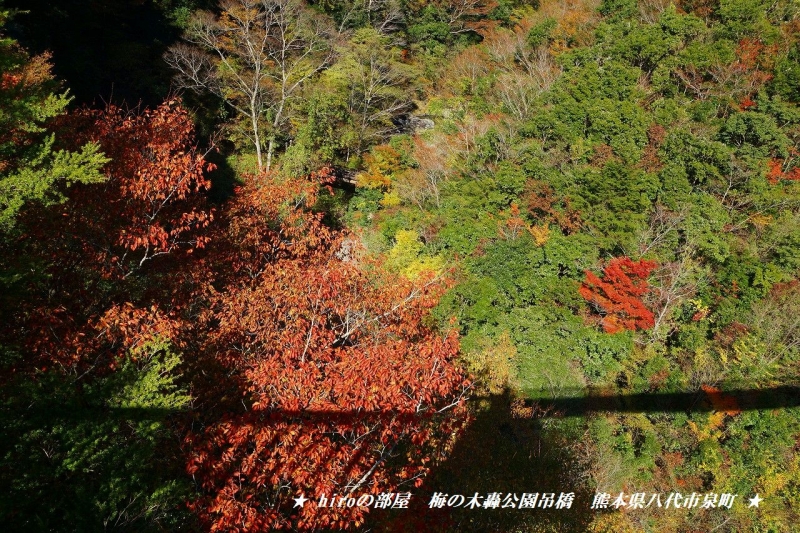 hiroの部屋　梅の木轟公園吊橋　熊本県八代市泉町