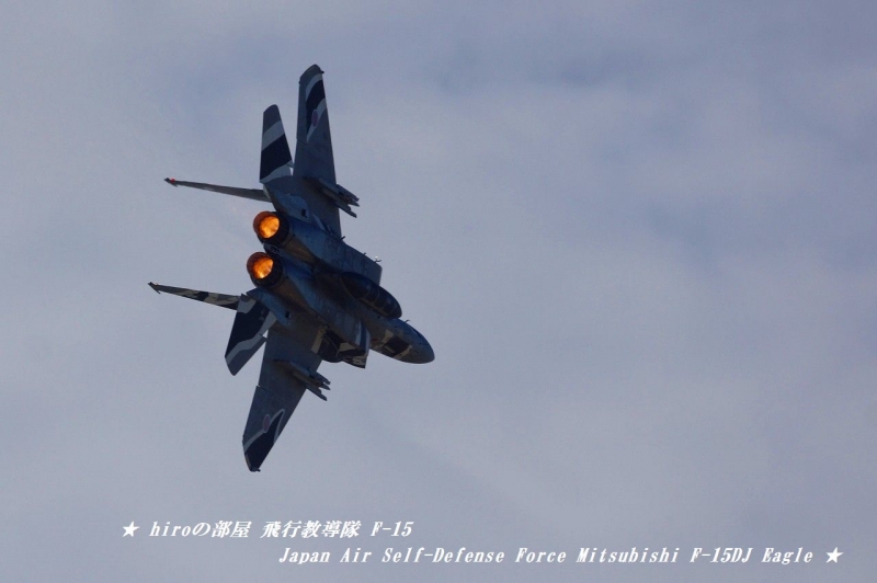 hiroの部屋　飛行教導隊 Japan Air Self-Defense Force Mitsubishi F-15DJ Eagle