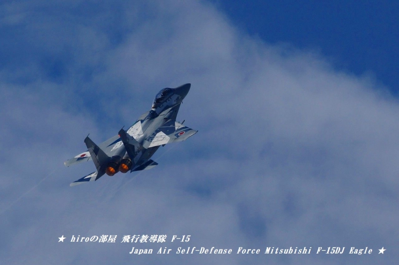 hiroの部屋　飛行教導隊 Japan Air Self-Defense Force Mitsubishi F-15DJ Eagle