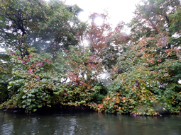 P9270157.jpg
