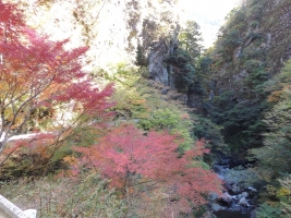 大釜の滝 (2)