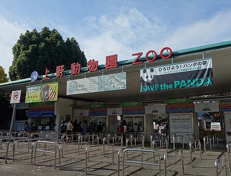 パンダと似てるかな・・・上野動物園と江戸前天ぷら＆下町カレー（日本一周旅205日目）