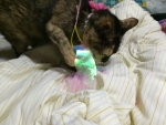 20151010164501.jpg