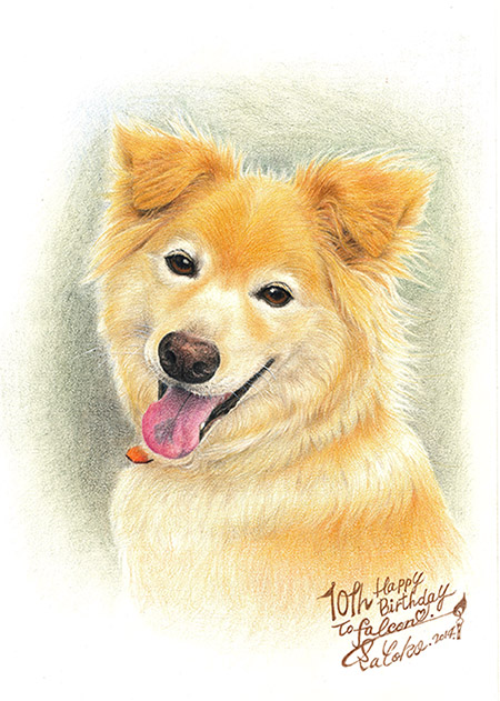 犬の絵 肖像画 モコ絵日記 Sato Moco