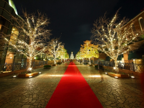 恵比寿ガーデンプレイス　2015　クリスマスイルミネーション