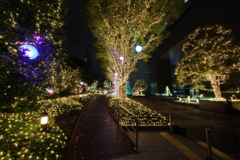 西新宿　クリスマスイルミネーション2015