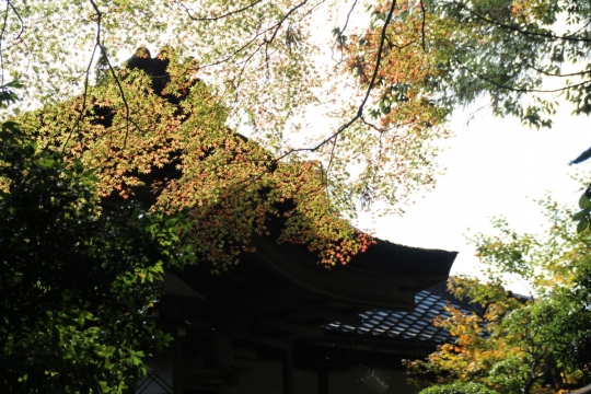 桜井の大神神社０４