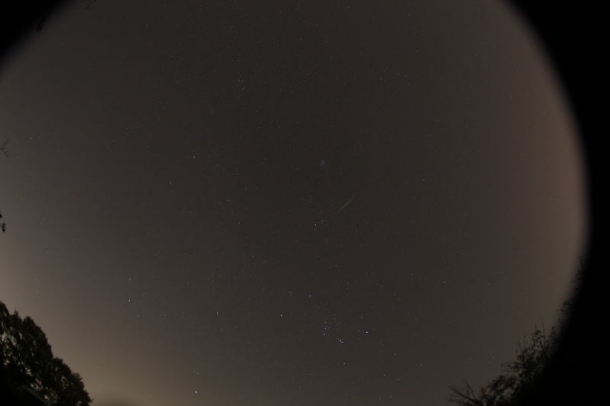 オリオン座流星群2015