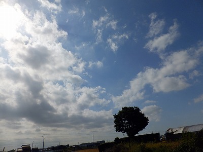 散歩3