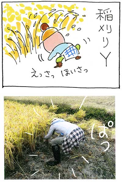 農業体験151030＿01