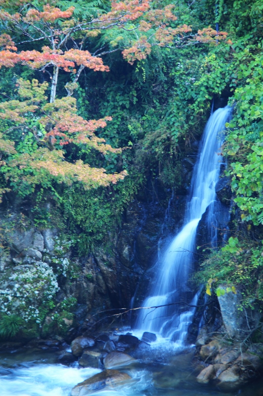 大井平の滝 (533x800)