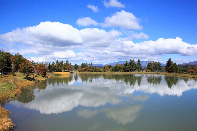 茶臼山湖の秋 (800x533)