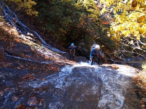 PA120778-001.jpg